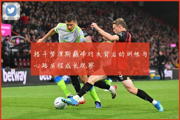 格斗努涅斯巅峰对决背后的训练与心路历程成长观察