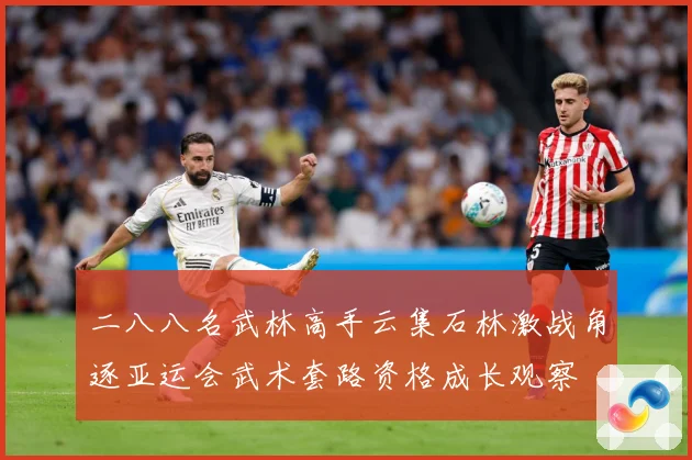 二八八名武林高手云集石林激战角逐亚运会武术套路资格成长观察