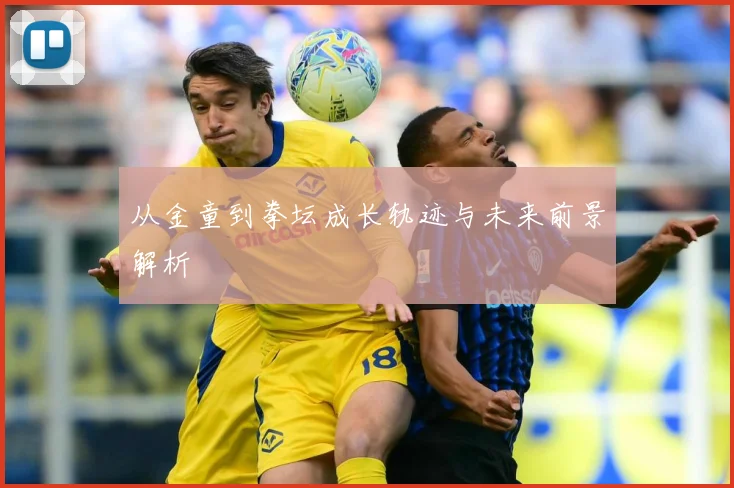 从金童到拳坛成长轨迹与未来前景解析