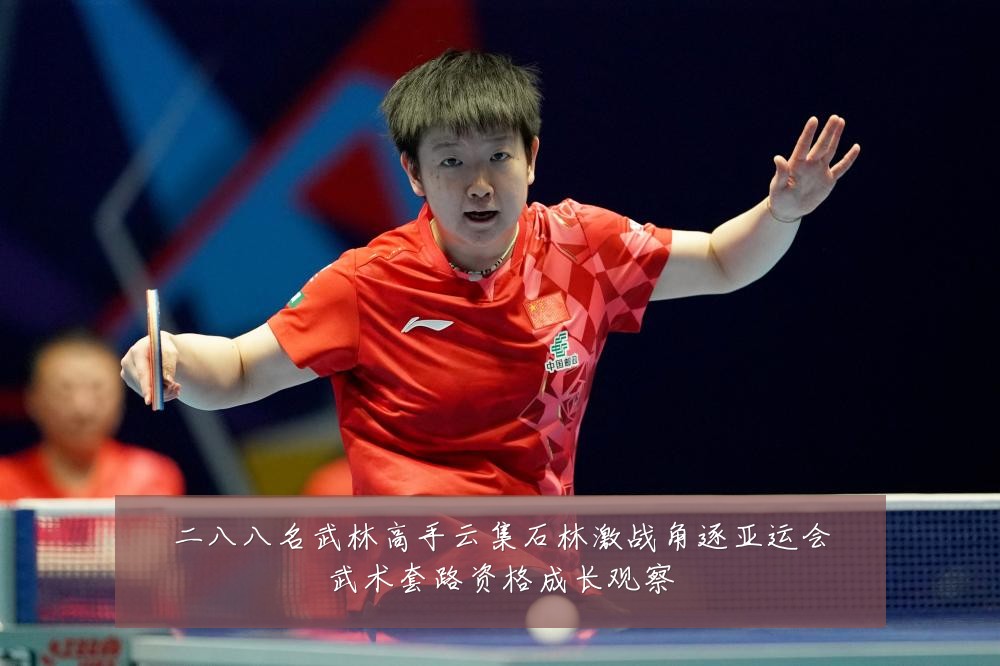 二八八名武林高手云集石林激战角逐亚运会武术套路资格成长观察
